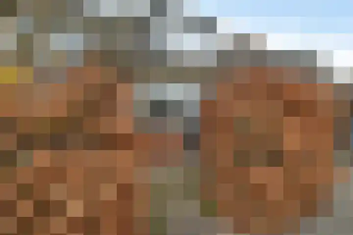 Aïdaschouw 38 Zoetermeer thumbnail 7