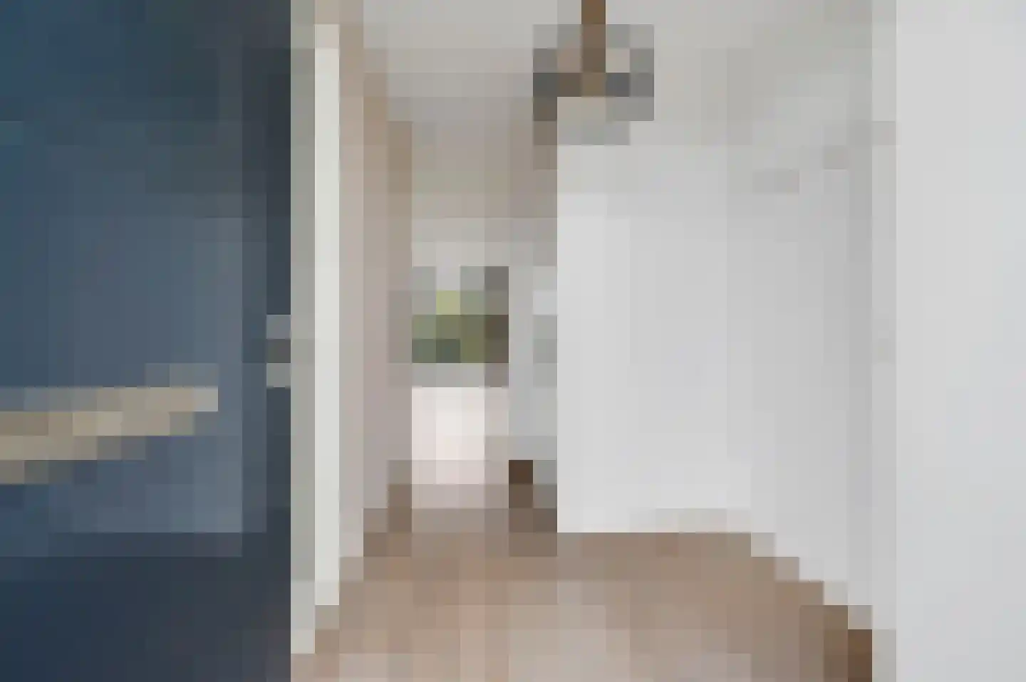 Aïdaschouw 38 Zoetermeer thumbnail 8