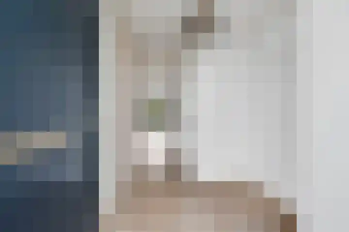 Aïdaschouw 38 Zoetermeer thumbnail 8