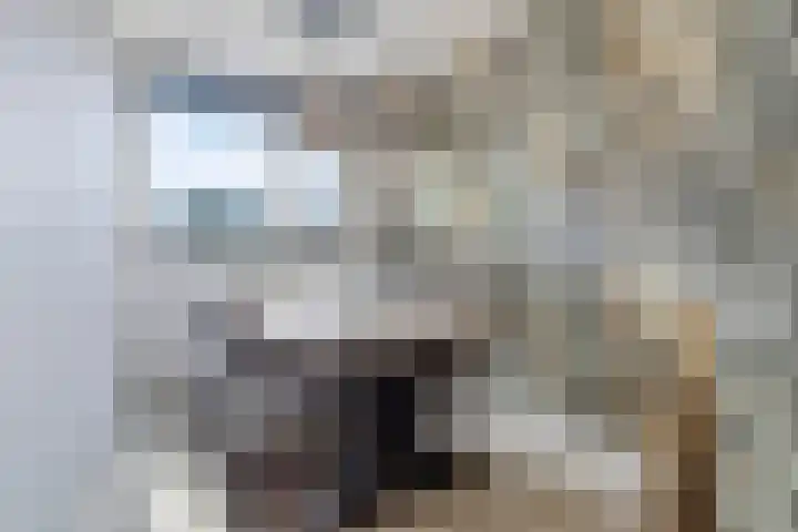Aïdaschouw 42 Zoetermeer thumbnail 10