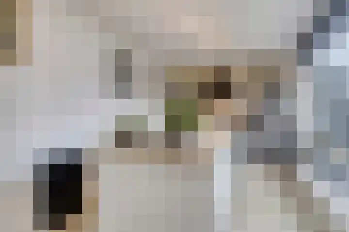 Aïdaschouw 42 Zoetermeer thumbnail 12