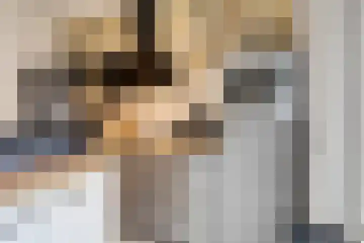 Aïdaschouw 42 Zoetermeer thumbnail 13
