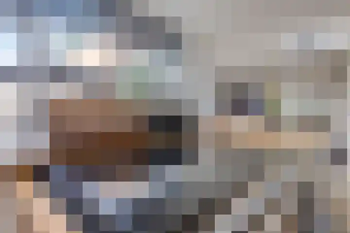 Aïdaschouw 42 Zoetermeer thumbnail 14