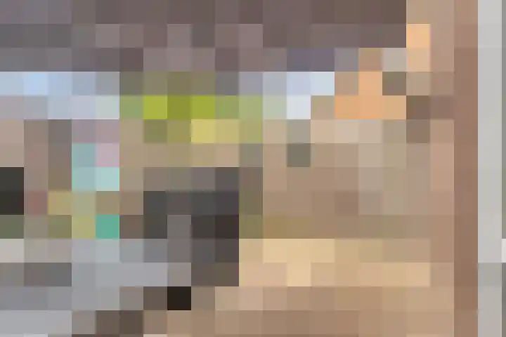 Aïdaschouw 42 Zoetermeer thumbnail 15