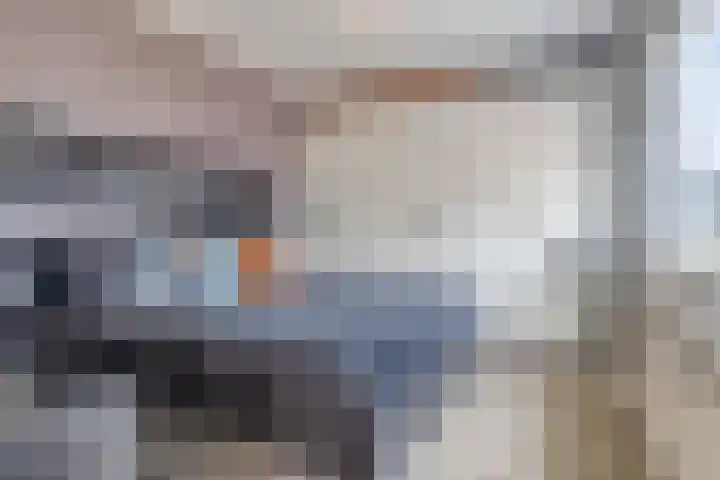 Aïdaschouw 42 Zoetermeer thumbnail 18