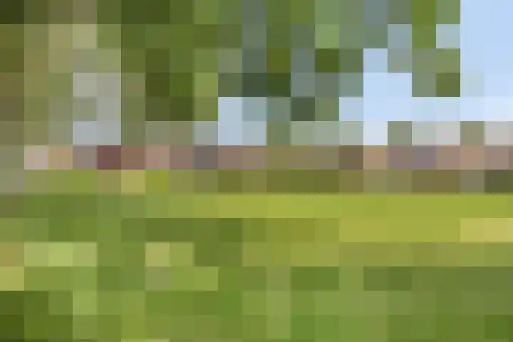 Aïdaschouw 42 Zoetermeer thumbnail 25