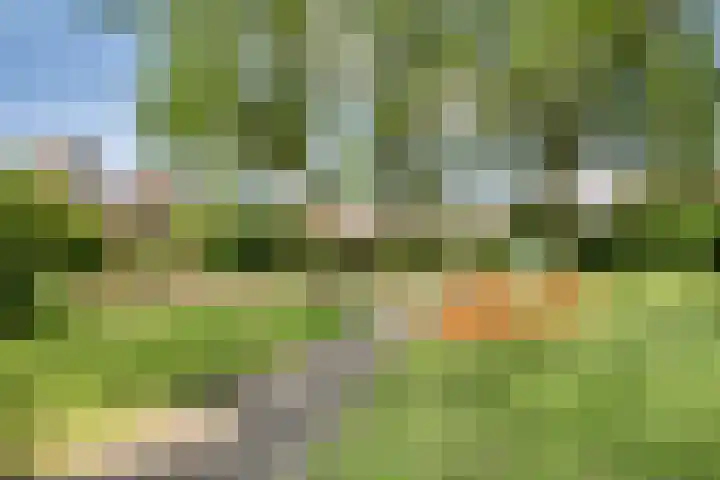 Aïdaschouw 42 Zoetermeer thumbnail 26