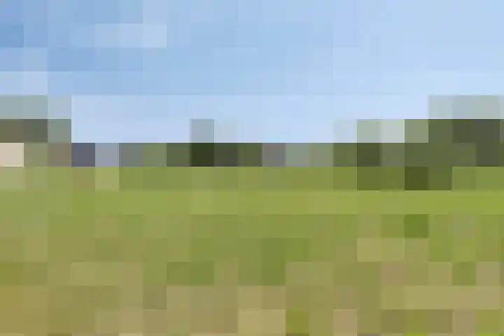 Aïdaschouw 42 Zoetermeer thumbnail 27