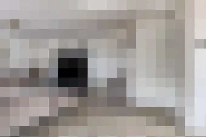 Aïdaschouw 42 Zoetermeer thumbnail 9