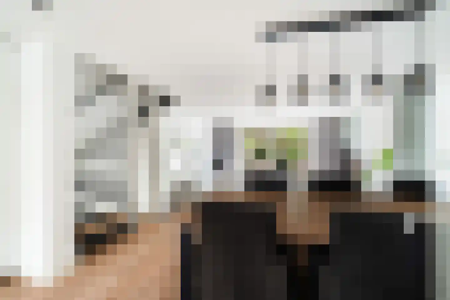 Aïdaschouw 50 Zoetermeer thumbnail 10