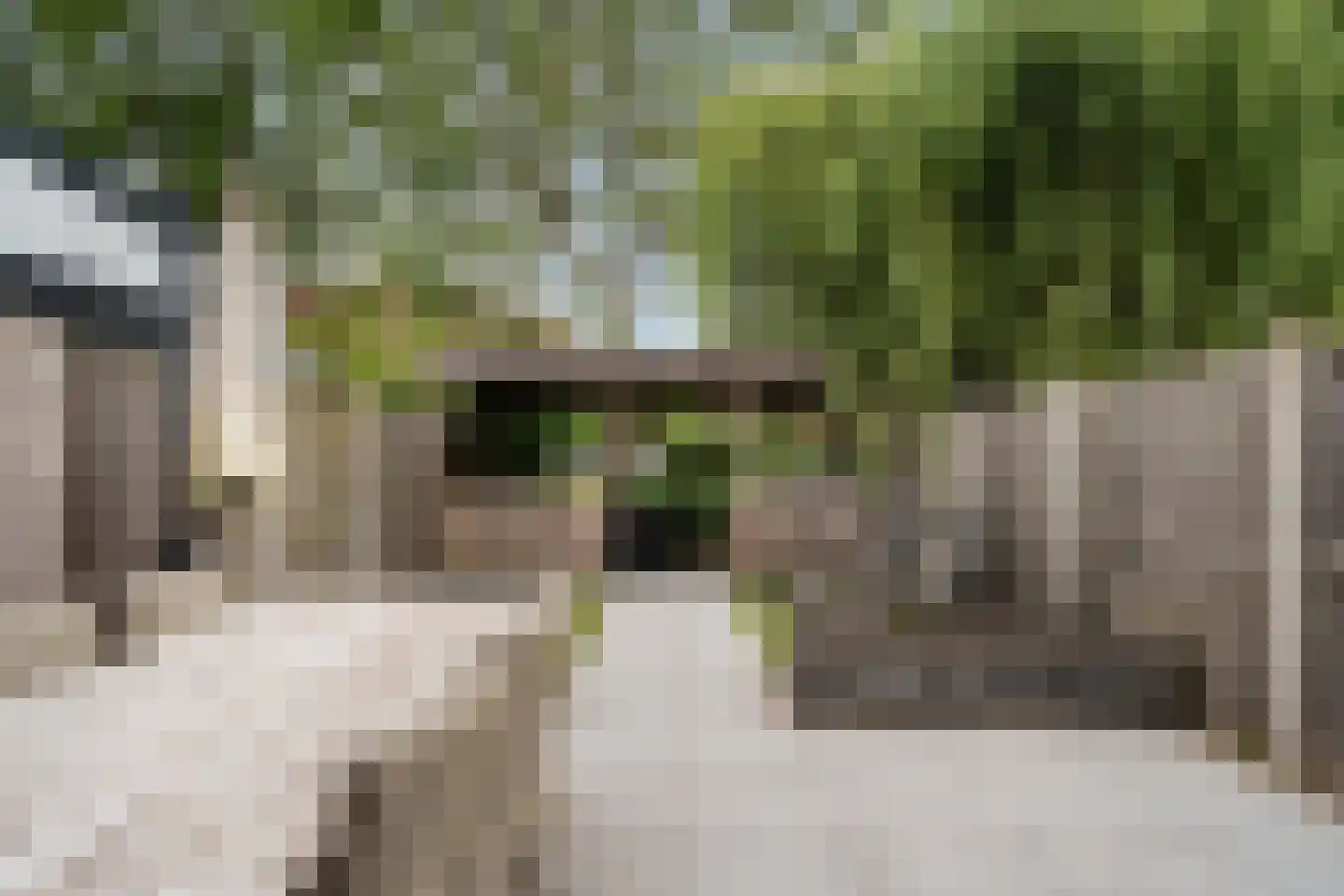 Aïdaschouw 50 Zoetermeer thumbnail 16