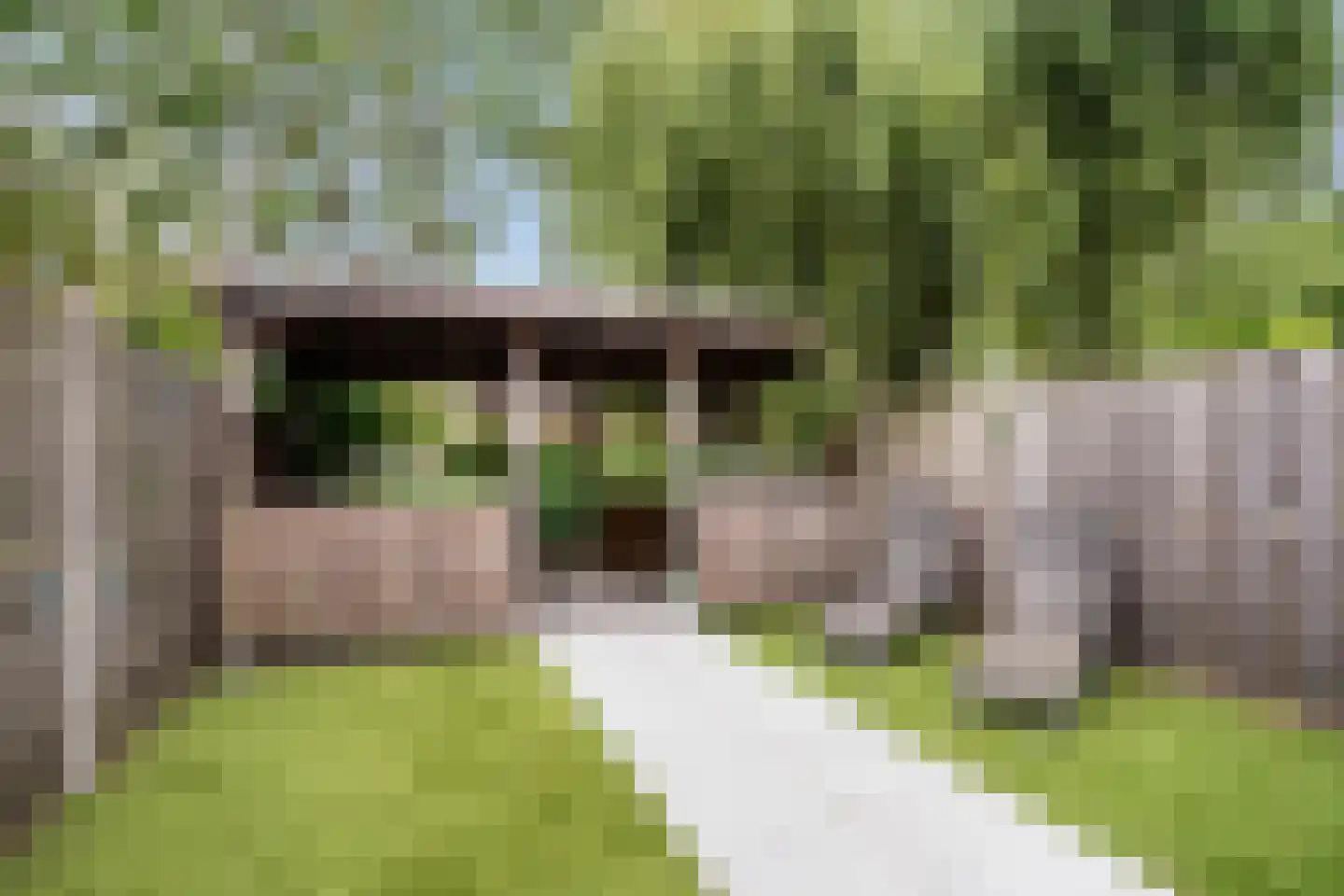 Aïdaschouw 50 Zoetermeer thumbnail 17