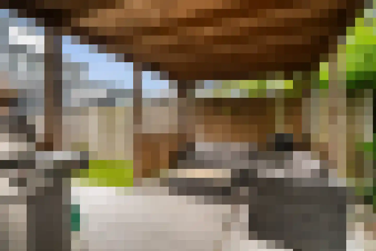 Aïdaschouw 50 Zoetermeer thumbnail 19