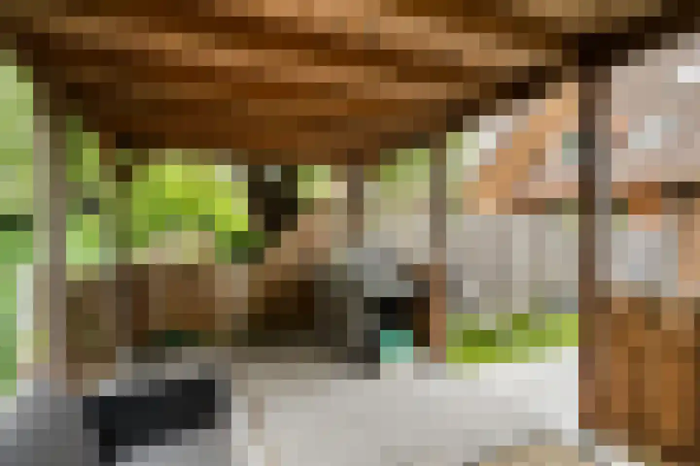Aïdaschouw 50 Zoetermeer thumbnail 20