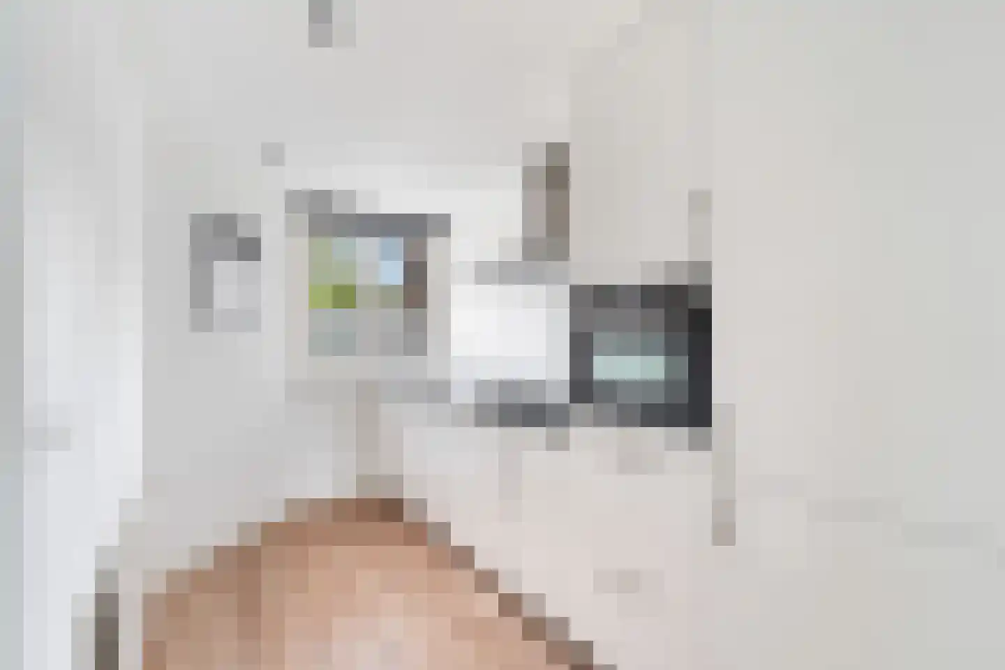 Aïdaschouw 50 Zoetermeer thumbnail 25