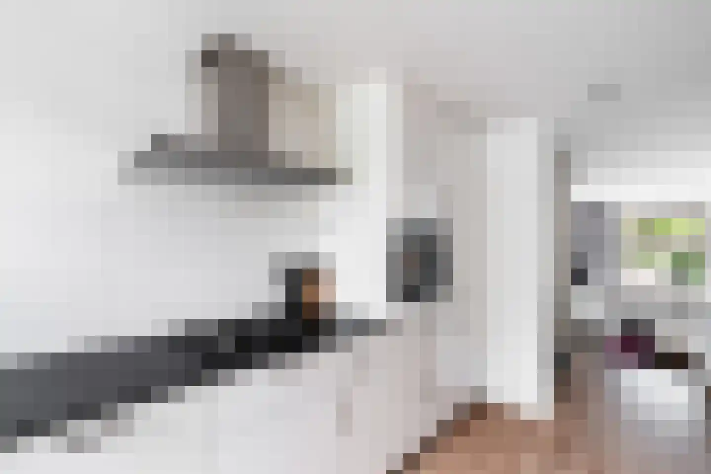 Aïdaschouw 50 Zoetermeer thumbnail 26