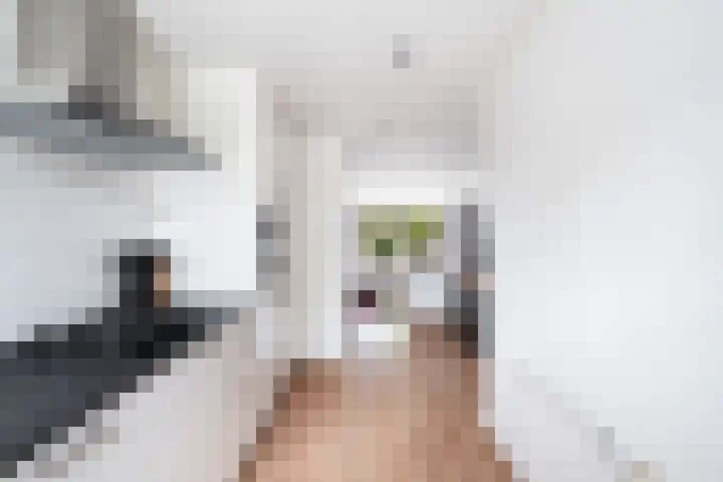 Aïdaschouw 50 Zoetermeer thumbnail 27