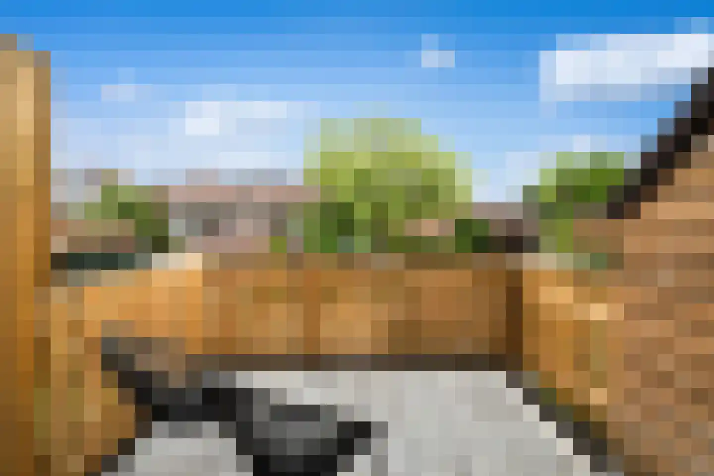 Aïdaschouw 50 Zoetermeer thumbnail 31