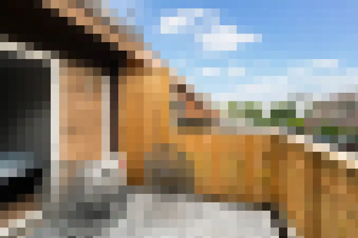 Aïdaschouw 50 Zoetermeer thumbnail 33