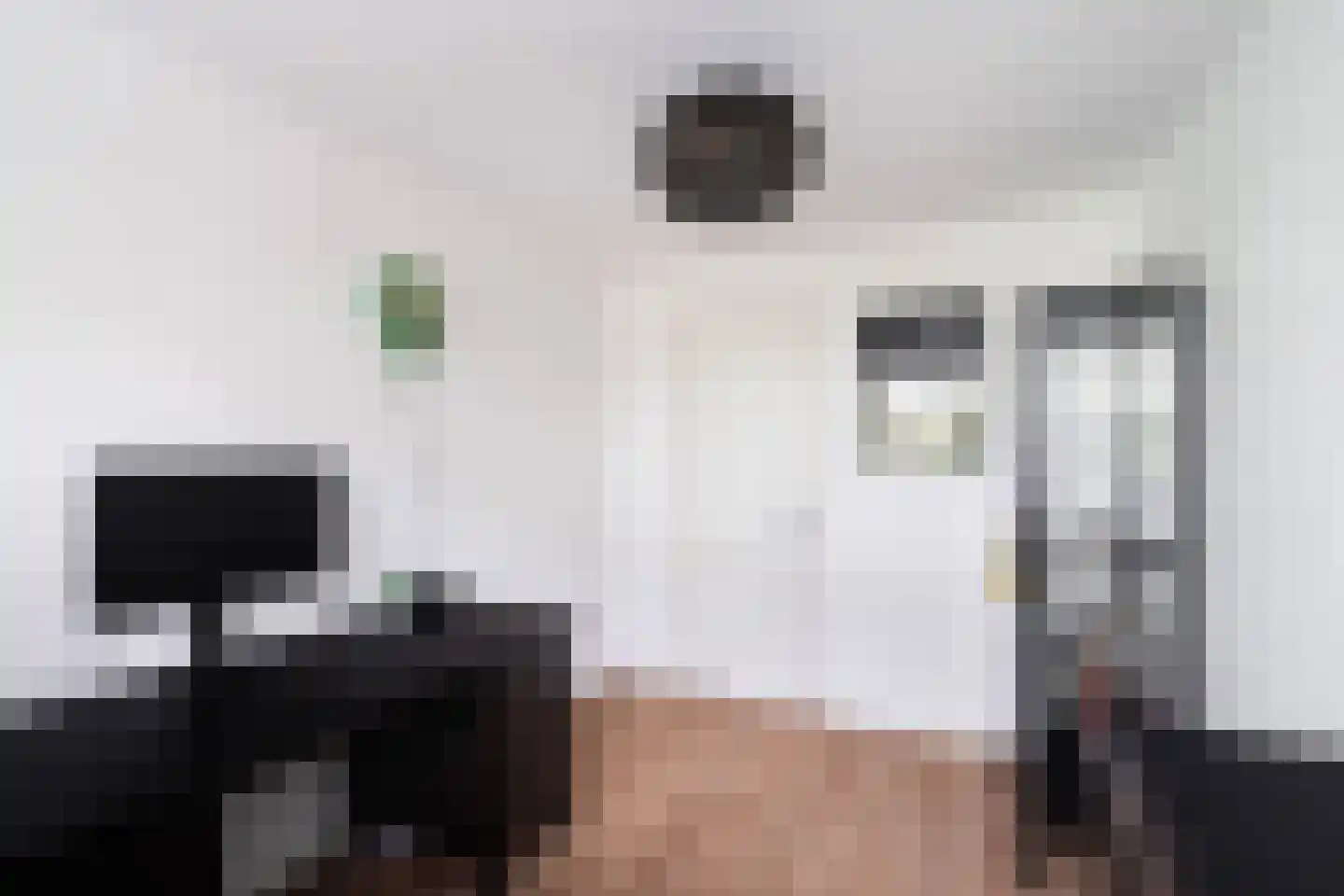 Aïdaschouw 50 Zoetermeer thumbnail 37