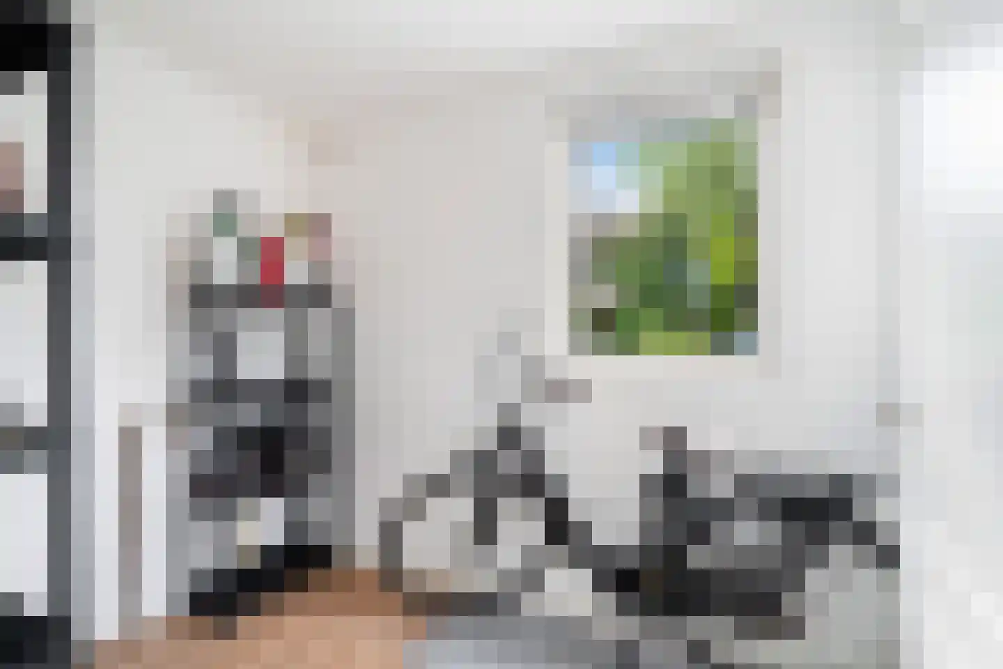 Aïdaschouw 50 Zoetermeer thumbnail 49