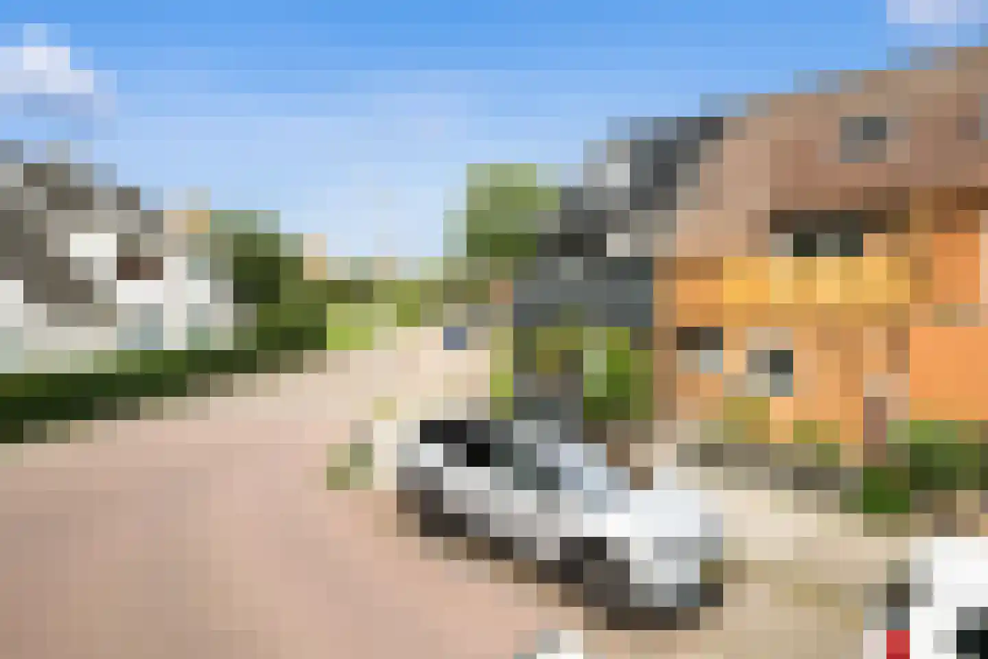 Aïdaschouw 50 Zoetermeer thumbnail 50