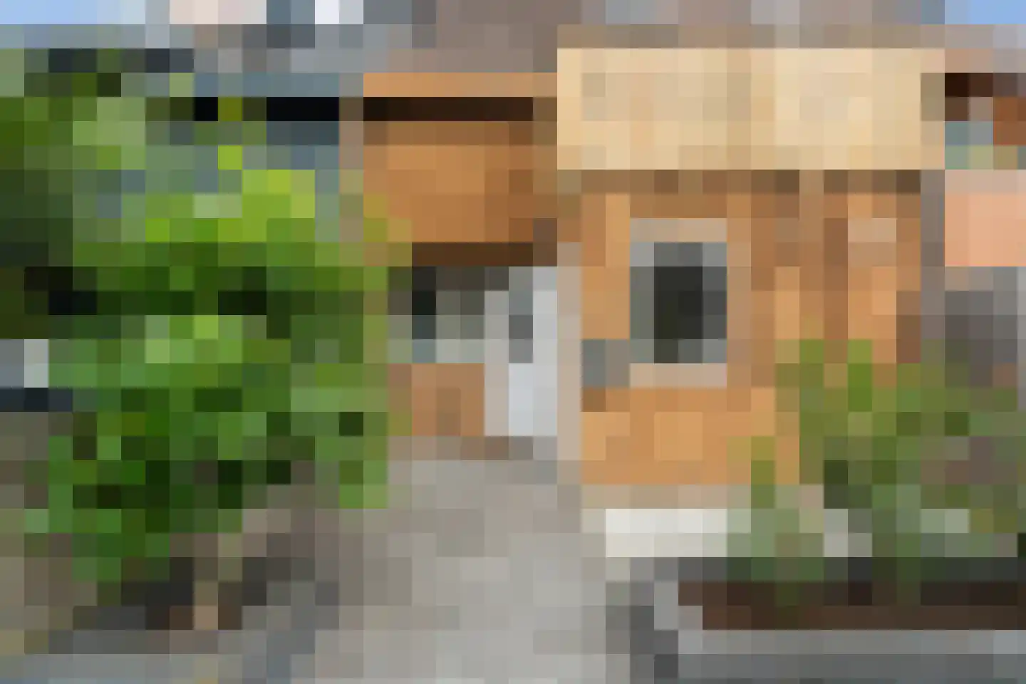 Aïdaschouw 50 Zoetermeer thumbnail 6