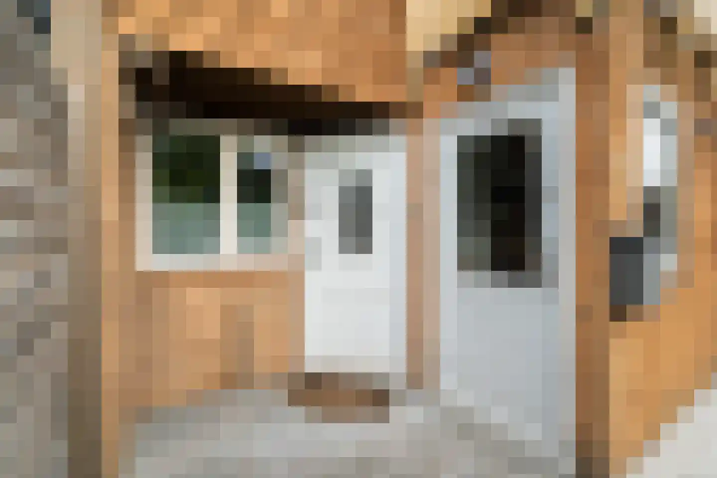 Aïdaschouw 50 Zoetermeer thumbnail 7
