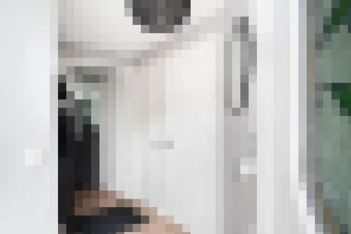 Aïdaschouw 50 Zoetermeer thumbnail 8