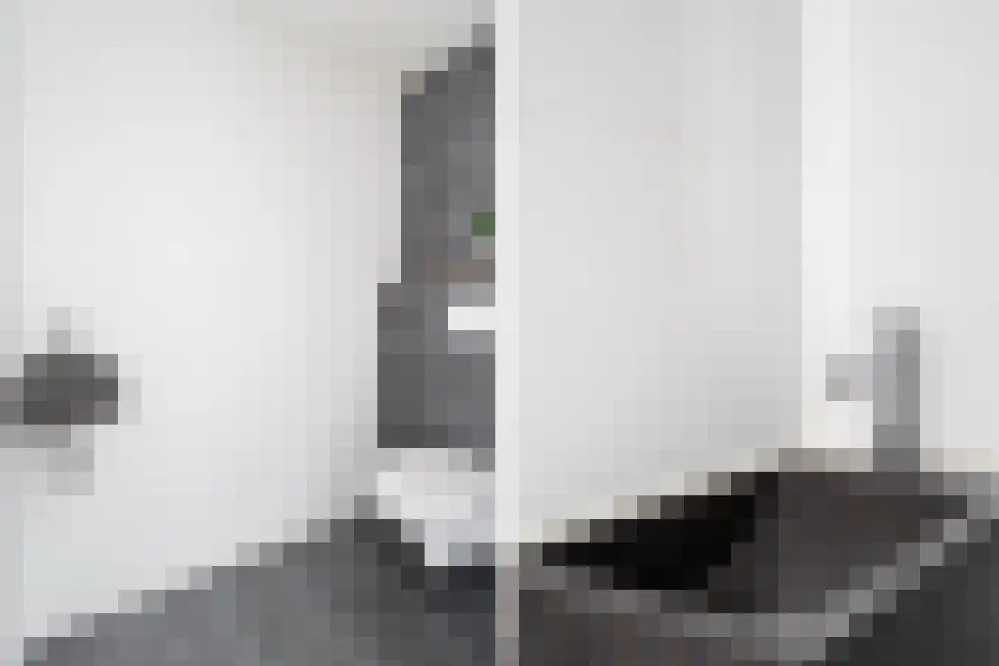 Aïdaschouw 50 Zoetermeer thumbnail 9