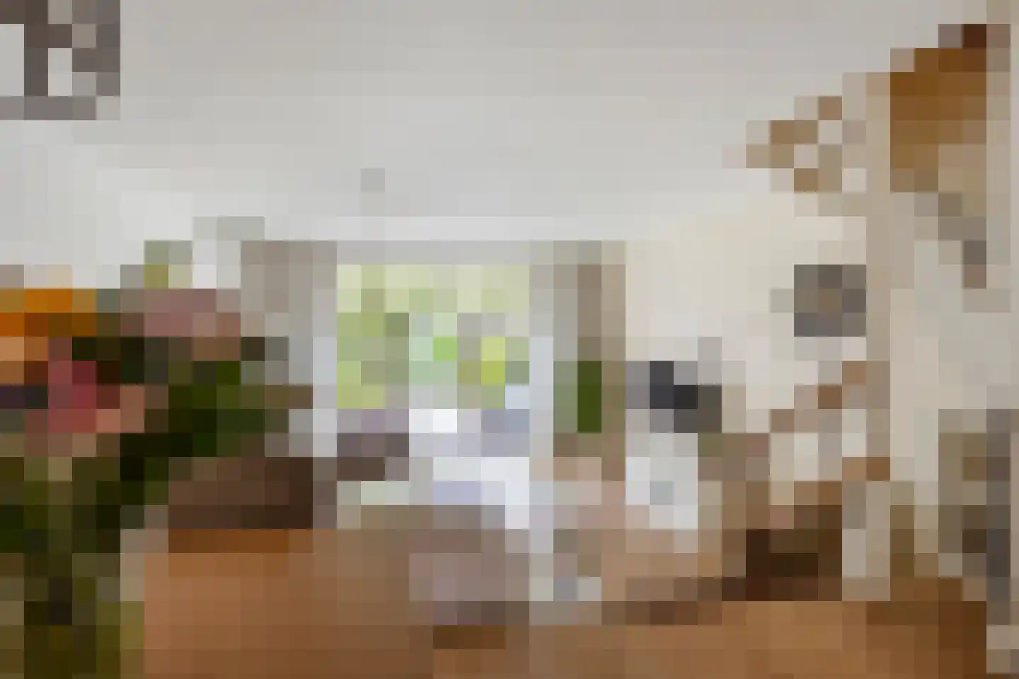 Aïdaschouw 52 Zoetermeer thumbnail 10