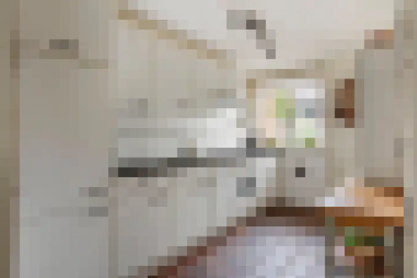 Aïdaschouw 52 Zoetermeer thumbnail 12