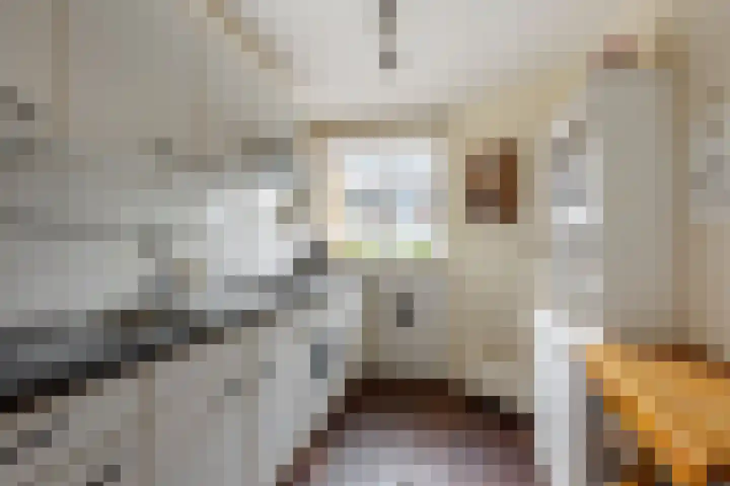 Aïdaschouw 52 Zoetermeer thumbnail 13