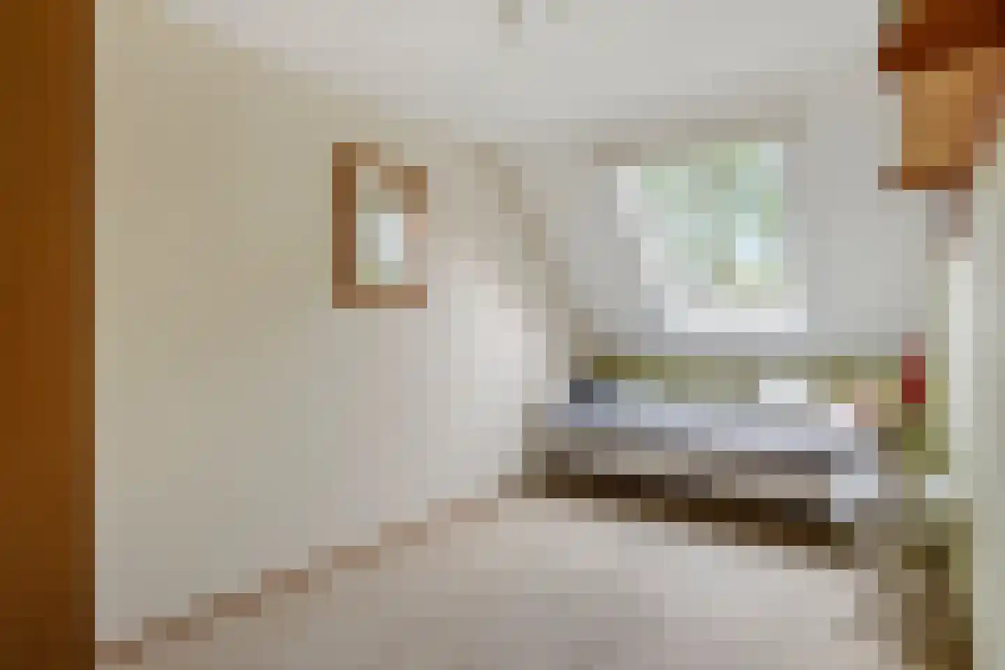 Aïdaschouw 52 Zoetermeer thumbnail 19