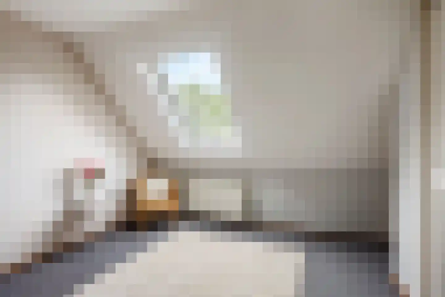 Aïdaschouw 52 Zoetermeer thumbnail 29