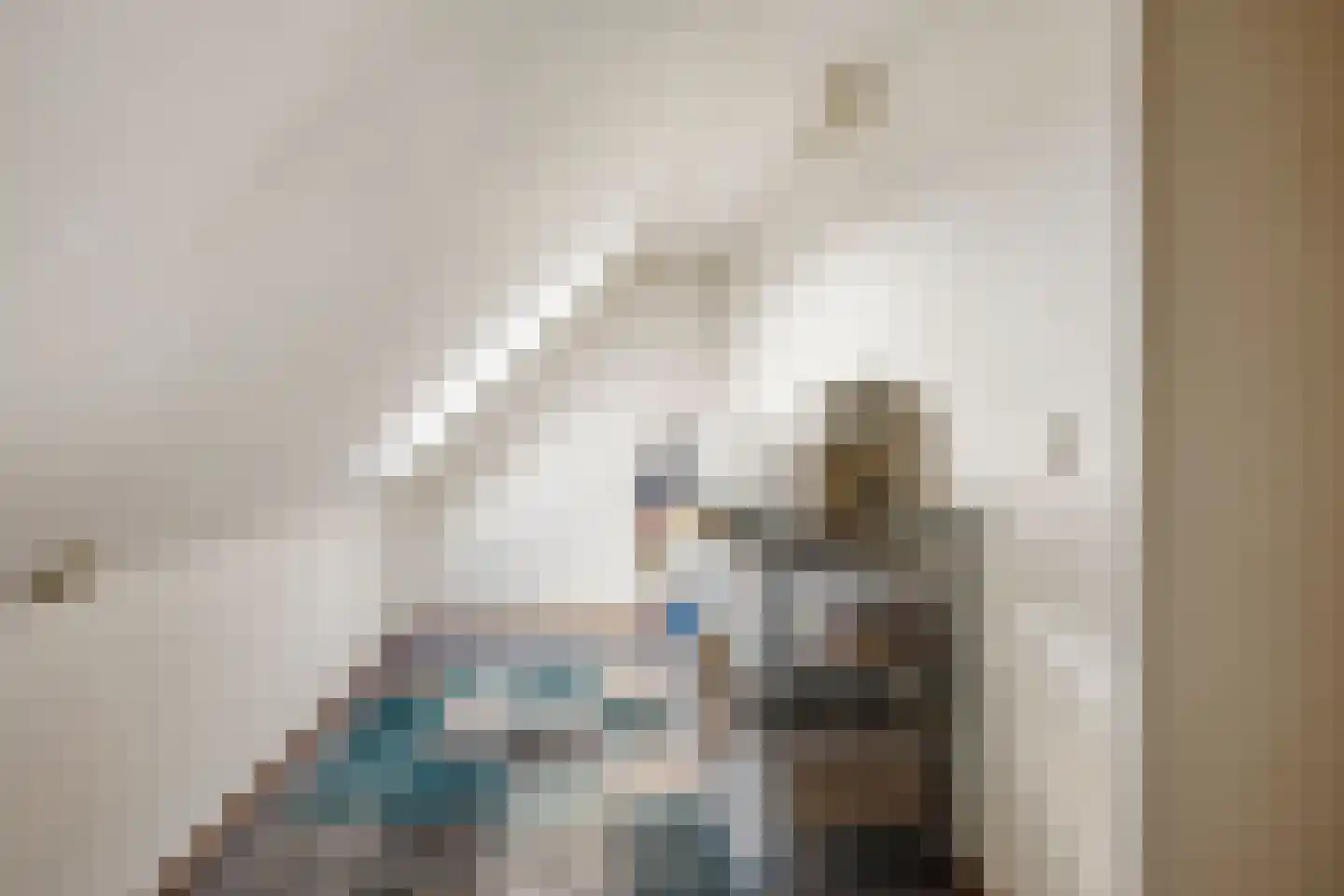 Aïdaschouw 52 Zoetermeer thumbnail 30