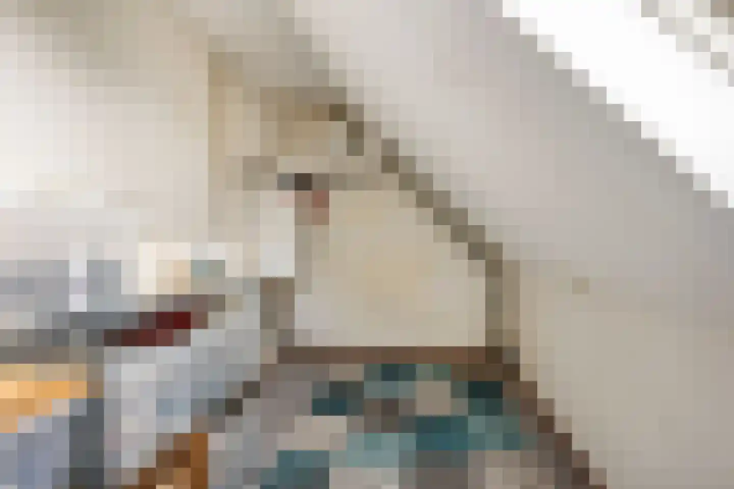 Aïdaschouw 52 Zoetermeer thumbnail 31