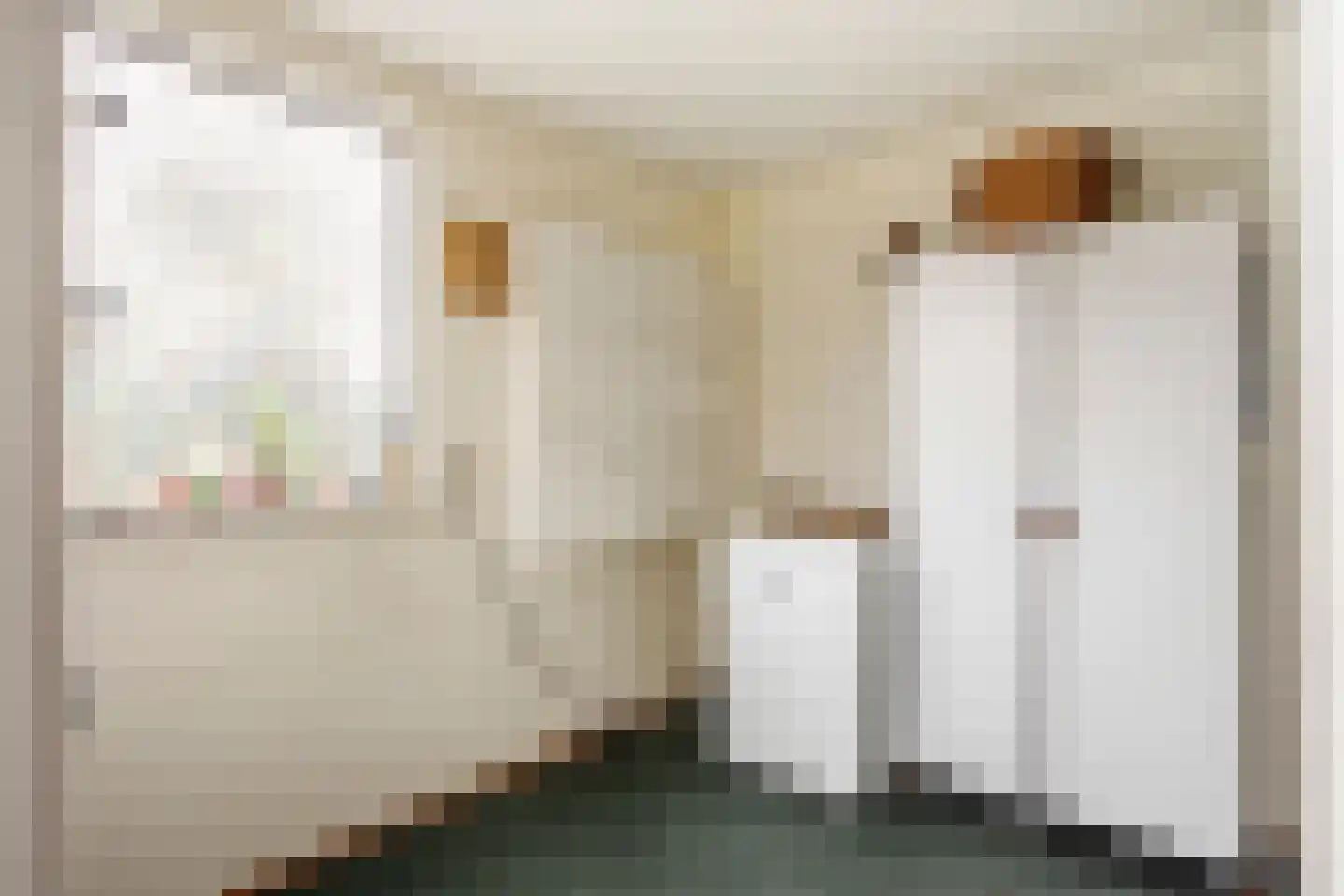 Aïdaschouw 52 Zoetermeer thumbnail 35