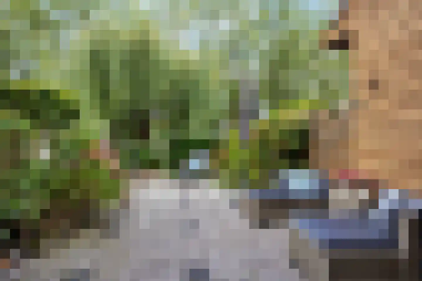 Aïdaschouw 52 Zoetermeer thumbnail 36