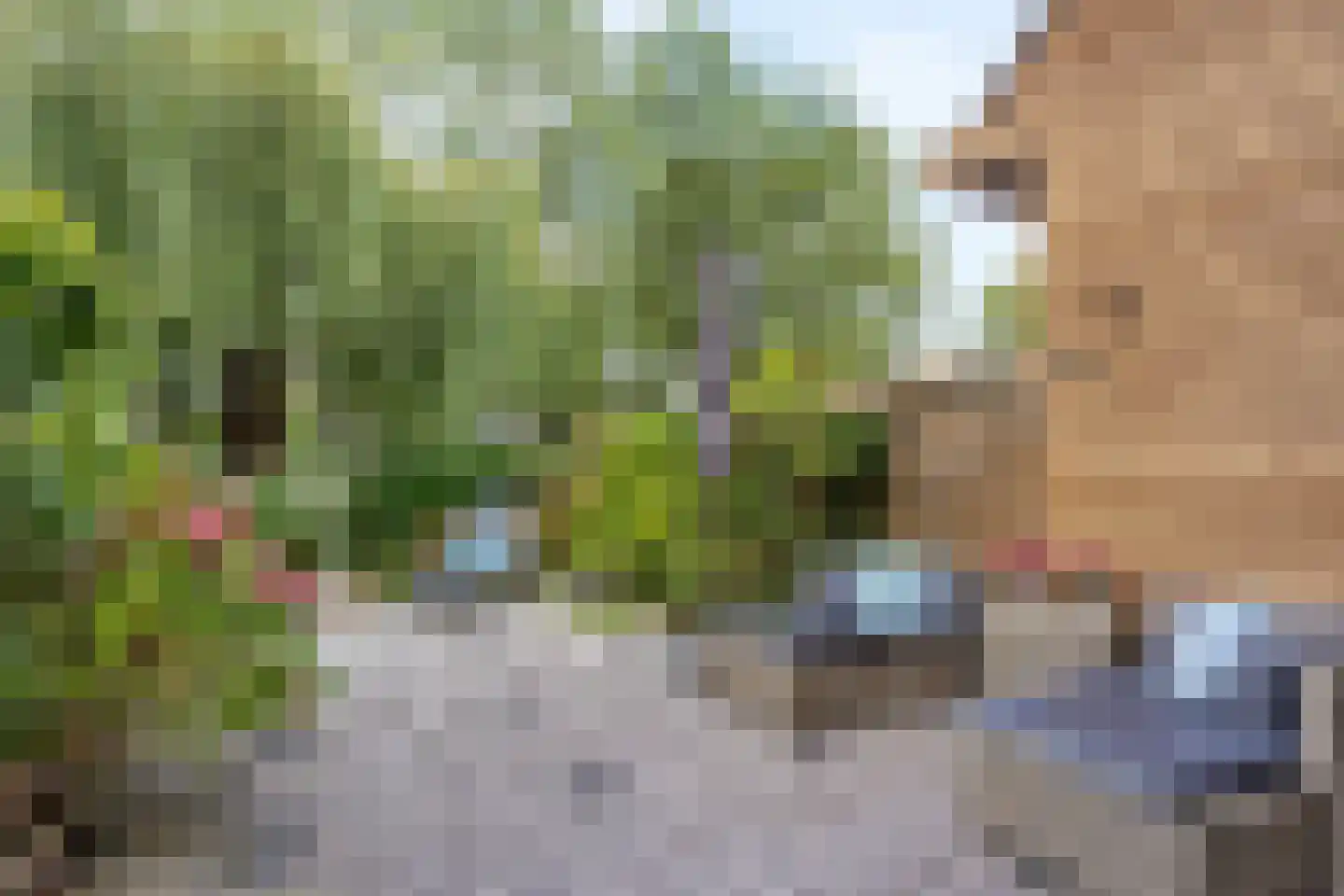 Aïdaschouw 52 Zoetermeer thumbnail 37