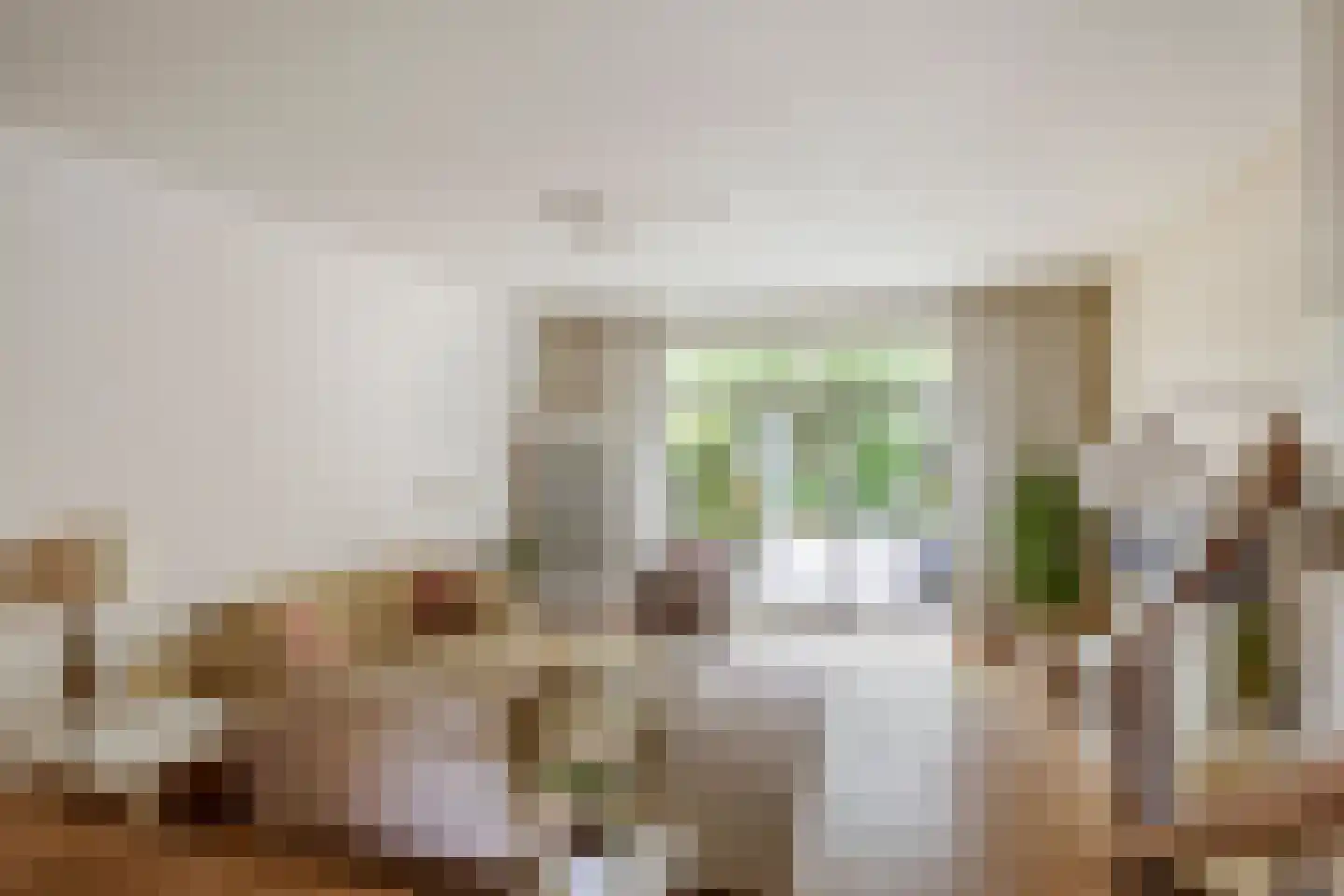 Aïdaschouw 52 Zoetermeer thumbnail 4