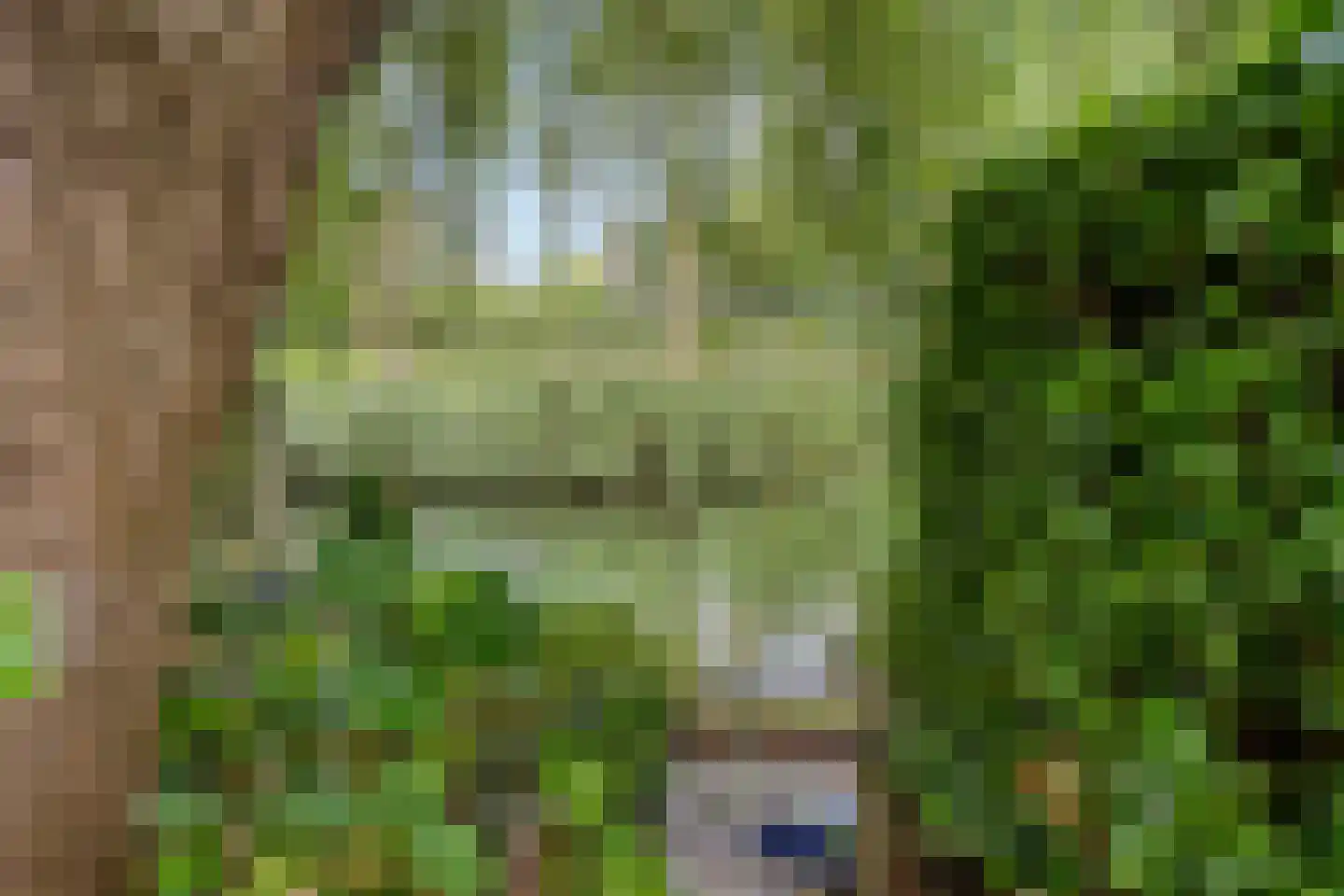 Aïdaschouw 52 Zoetermeer thumbnail 40