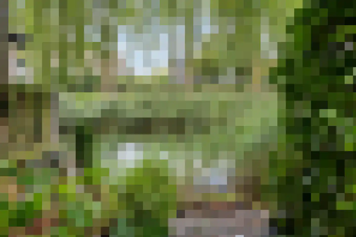 Aïdaschouw 52 Zoetermeer thumbnail 41