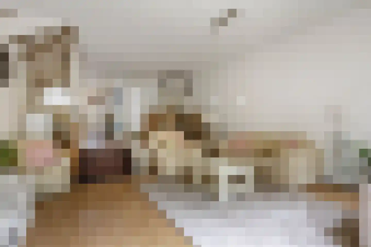 Aïdaschouw 52 Zoetermeer thumbnail 5