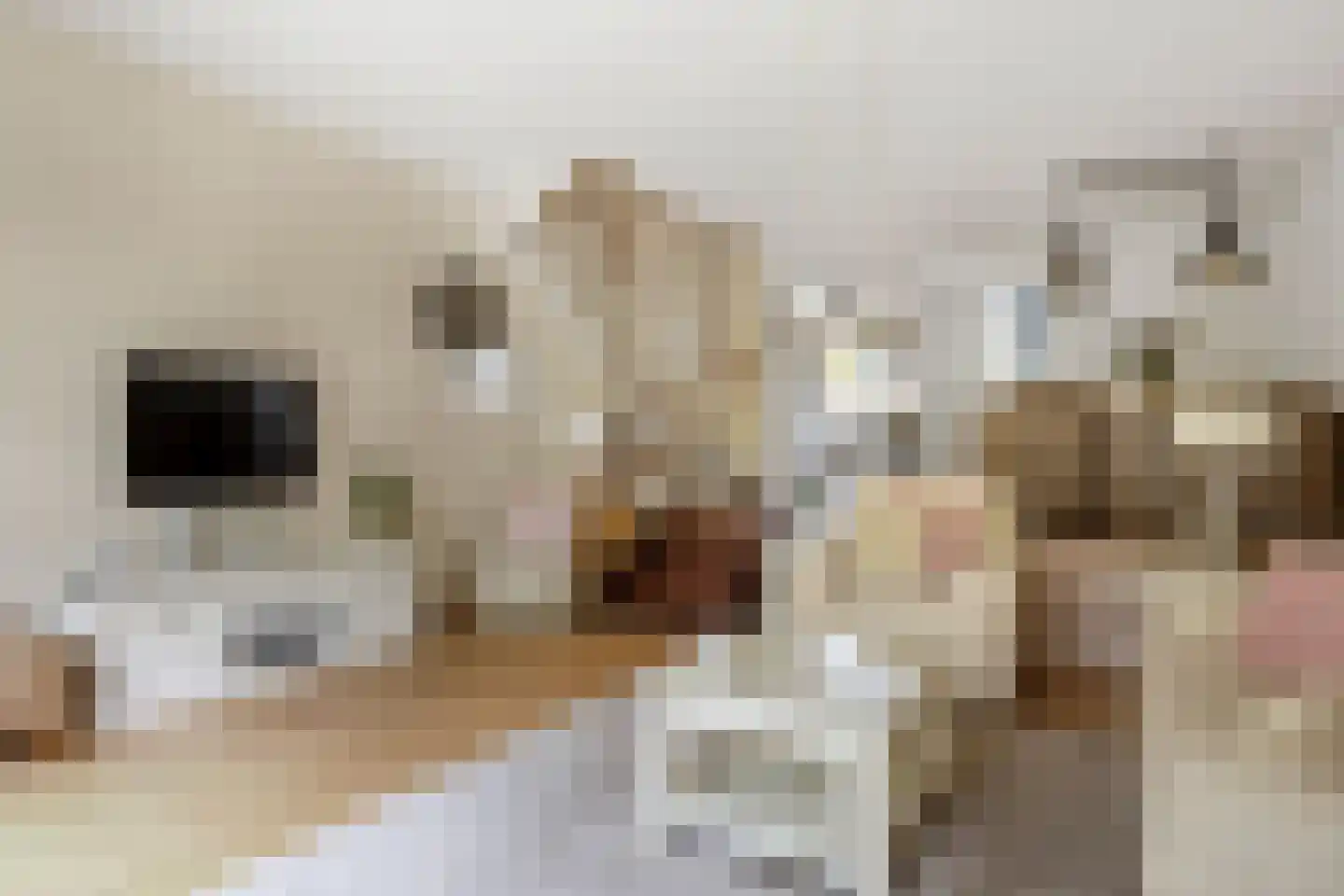 Aïdaschouw 52 Zoetermeer thumbnail 6