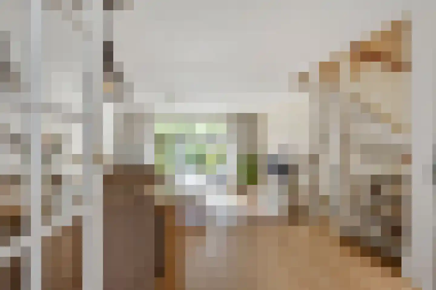 Aïdaschouw 52 Zoetermeer thumbnail 8