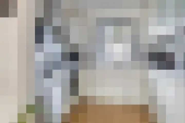 Aïdaschouw 53 Zoetermeer thumbnail 13