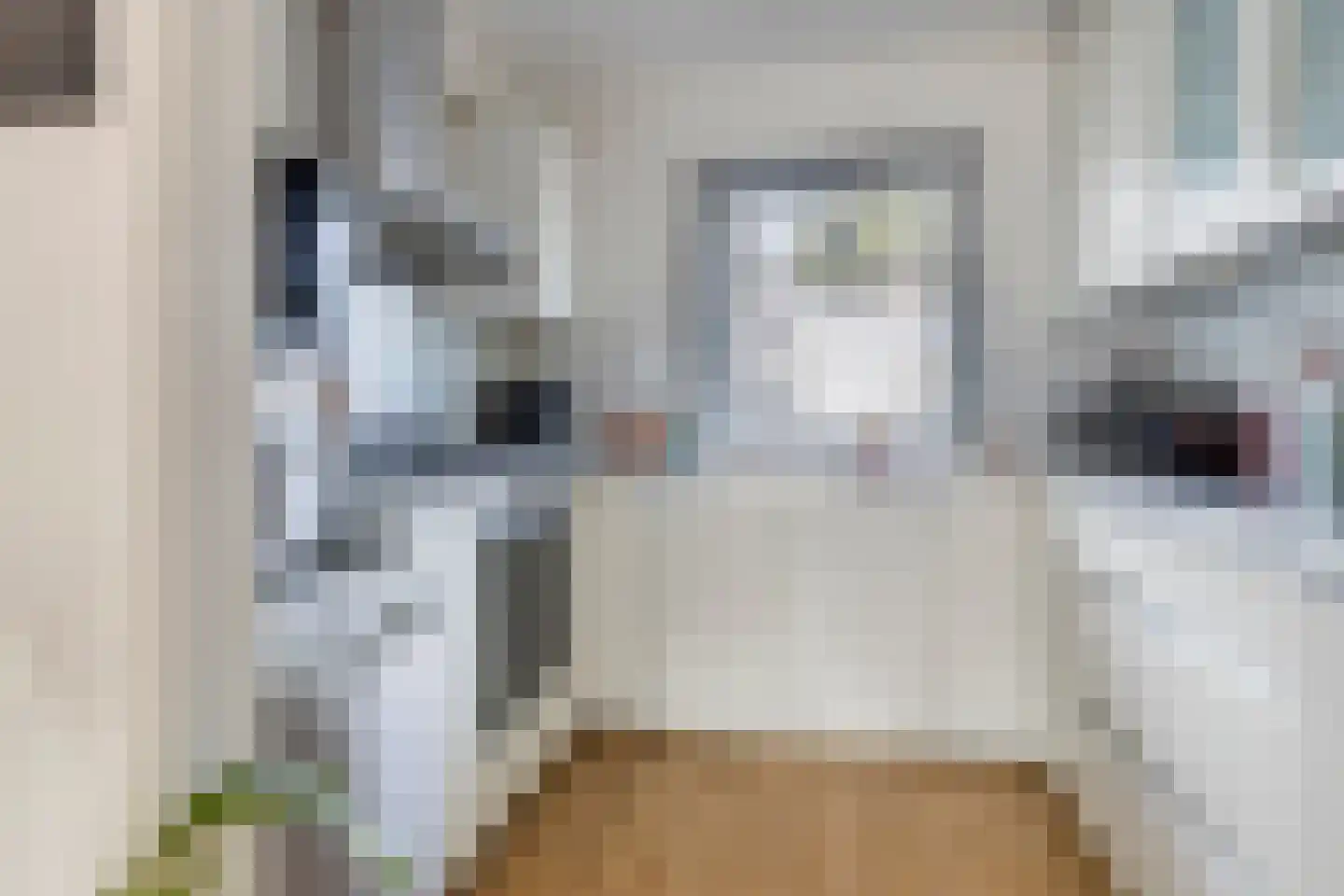 Aïdaschouw 53 Zoetermeer thumbnail 13