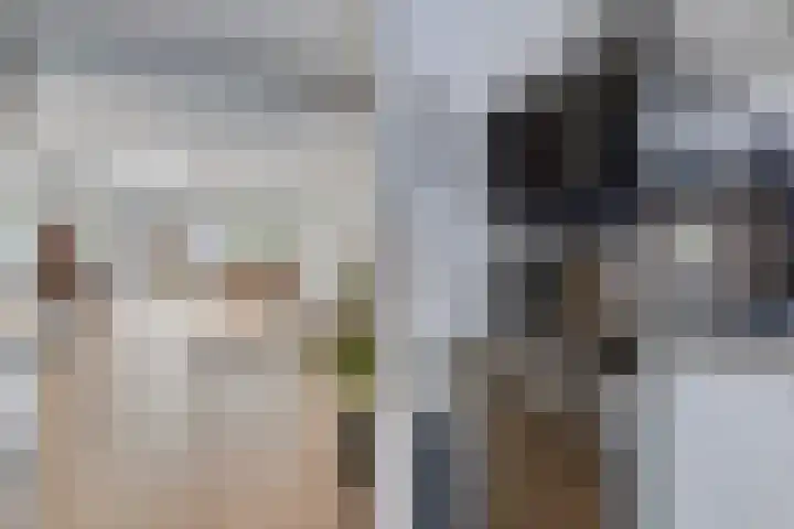 Aïdaschouw 53 Zoetermeer thumbnail 14