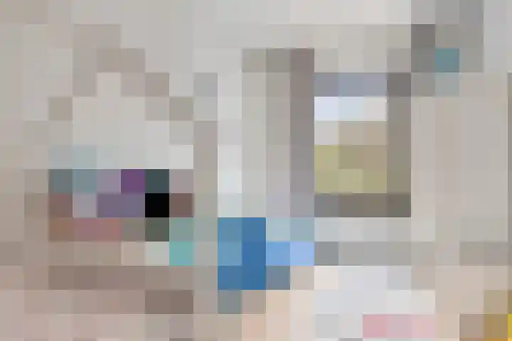 Aïdaschouw 53 Zoetermeer thumbnail 17